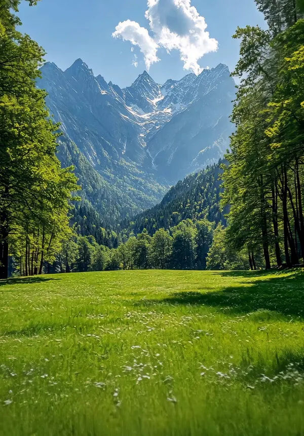 A sunlit meadow stretching toward snow-capped mountains